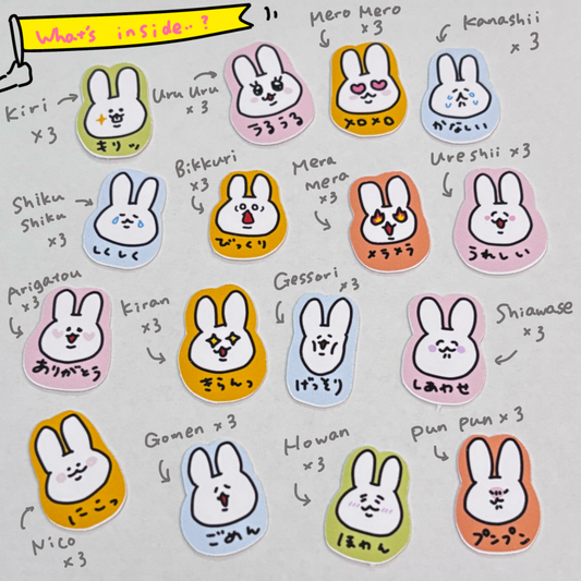 Sticker Flakes ( Iro-iro facial expressions)